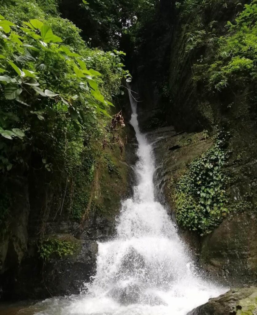 সোনাইছড়ি ট্রেইল, হাদি ফকিরহাট বাজার, বারৈয়াঢালা , মীরসরাই, চট্টগ্রাম
